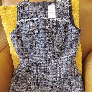 J Crew Lined Dress